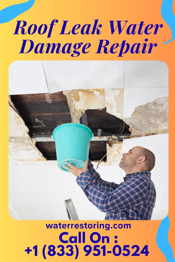 Roof Leak Water Damage Repair in Mona, IA